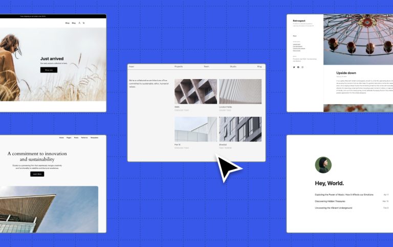 12 Top WordPress Themes People Actually Use in 2026 (Tested & Ranked)