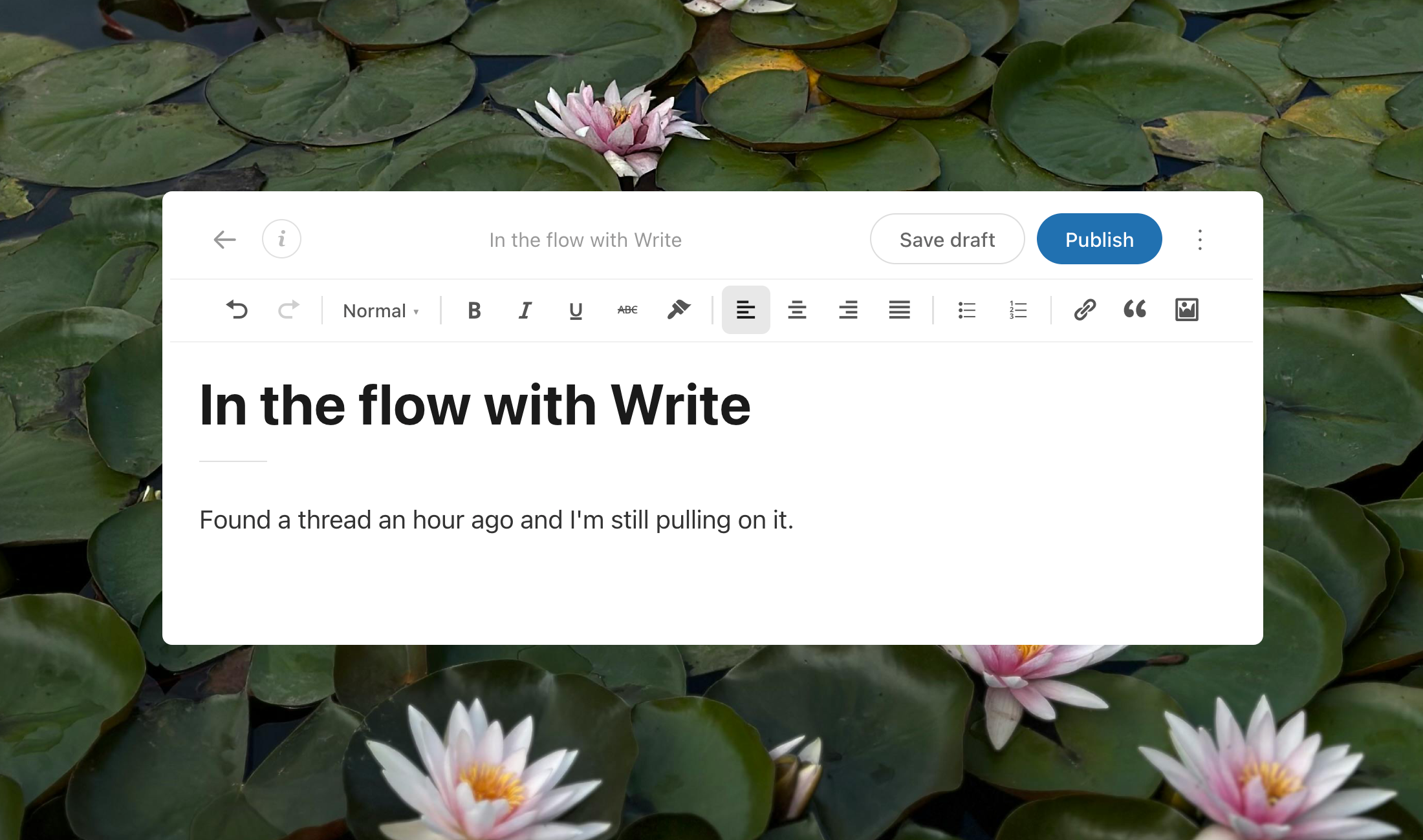 introducing-write:-a-new-way-to-post,-built-for-writers